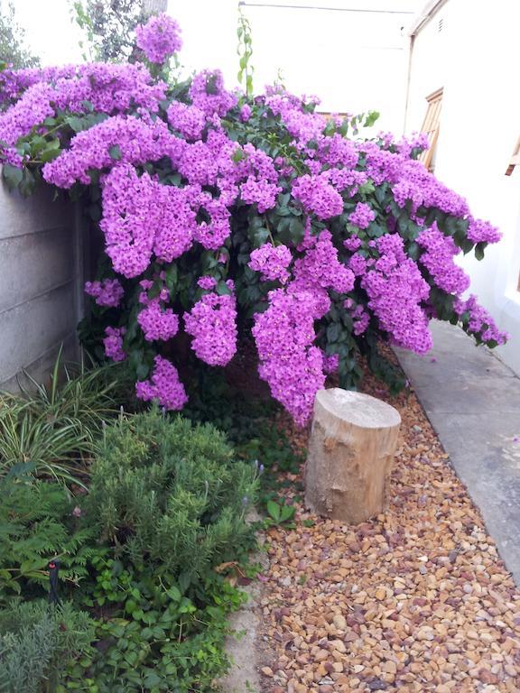 Wheatlands Lodge Bredasdorp Buitenkant foto